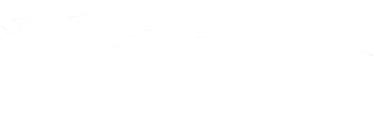 SeguiAuto - Equipamientos y conversiones automotrices en México
